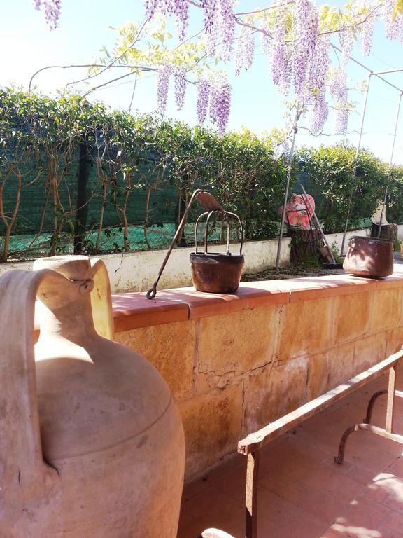 B&B La Casa Dell'Artista Assoro ภายนอก รูปภาพ